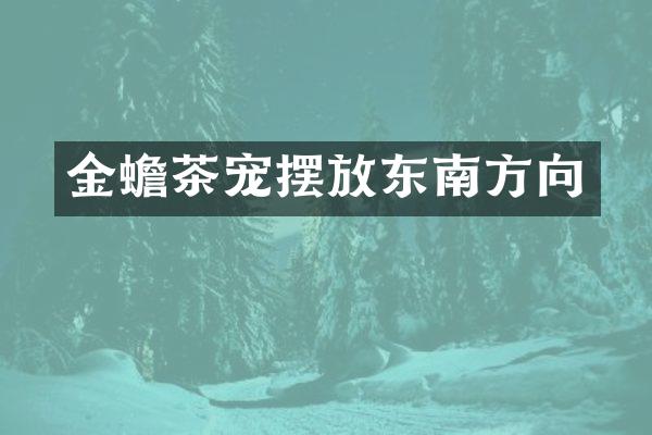 金蟾茶宠摆放东南方向
