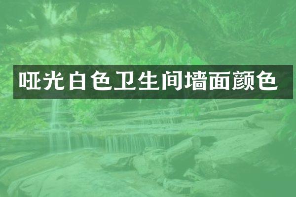 哑光白色卫生间墙面颜色