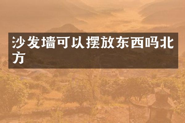 沙发墙可以摆放东西吗北方