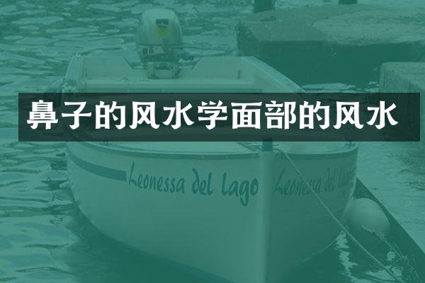 鼻子的风水学面部的风水