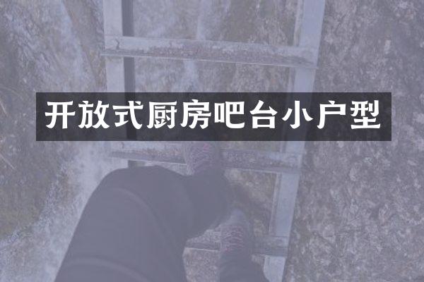 开放式厨房吧台小户型