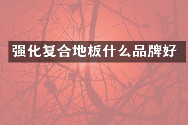 强化复合地板什么品牌好