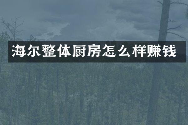 海尔整体厨房怎么样赚钱