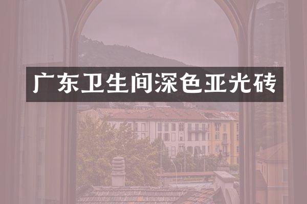 广东卫生间深色亚光砖