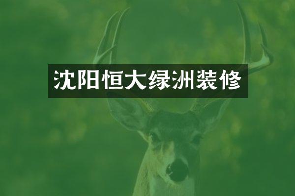 沈阳恒大绿洲装修