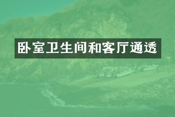 卧室卫生间和客厅通透