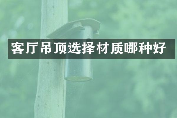 客厅吊顶选择材质哪种好