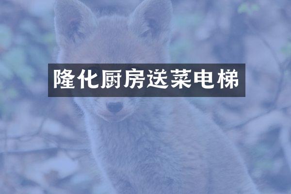 隆化厨房送菜电梯