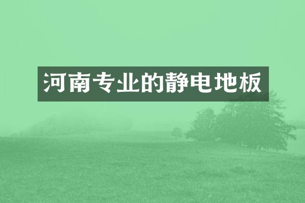 河南专业的静电地板