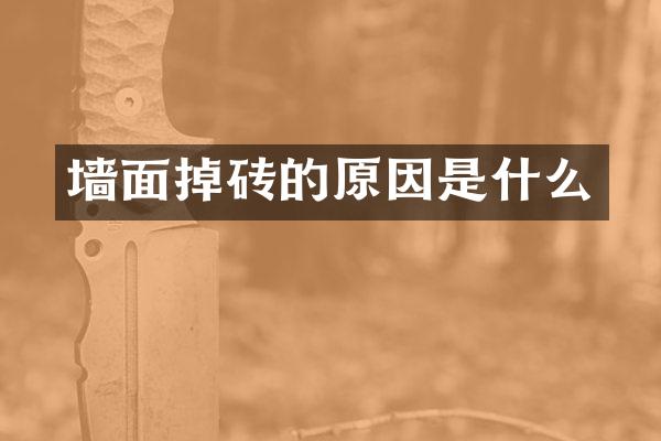 墙面掉砖的原因是什么