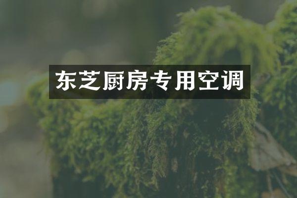 东芝厨房专用空调