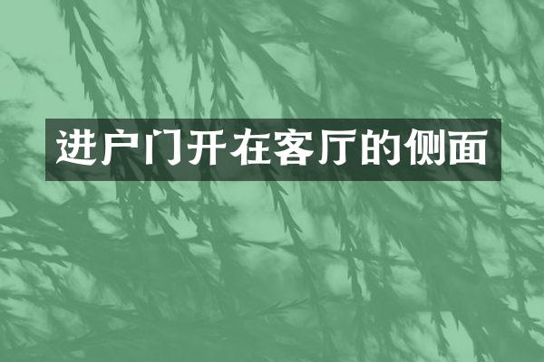 进户门开在客厅的侧面