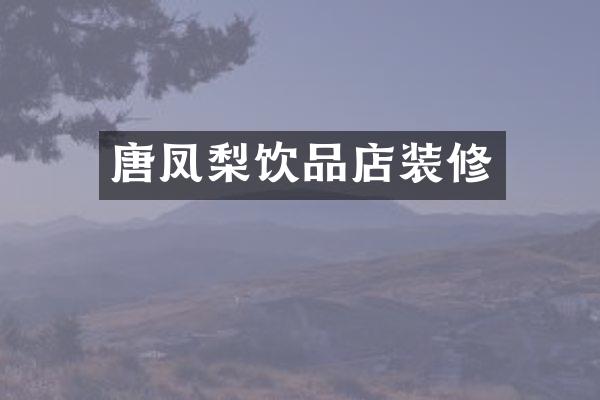 唐凤梨饮品店装修
