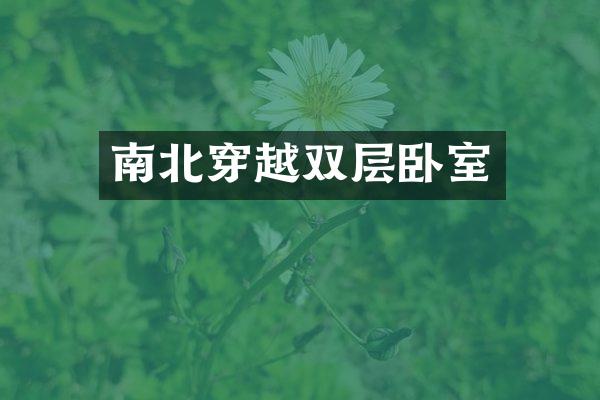 南北穿越双层卧室