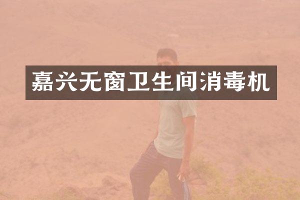 嘉兴无窗卫生间消毒机
