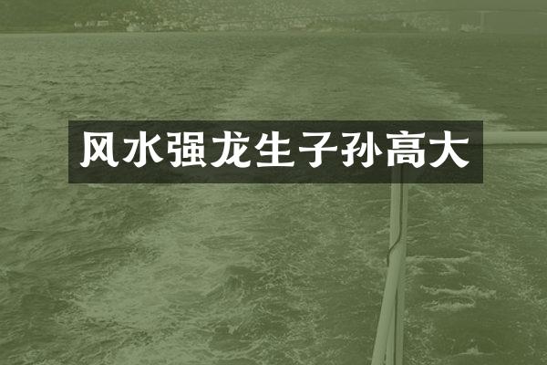 风水强龙生子孙高大