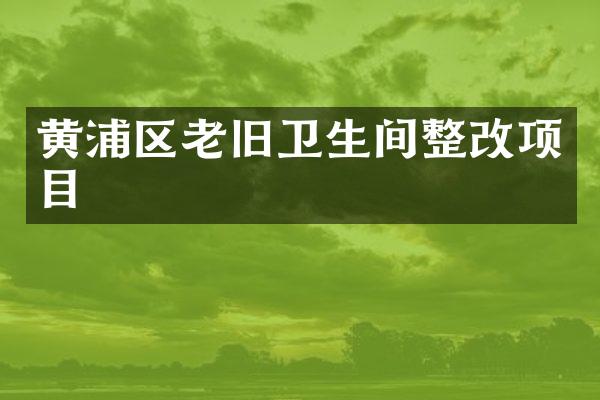 黄浦区老旧卫生间整改项目
