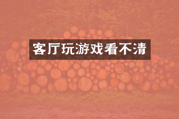 客厅玩游戏看不清