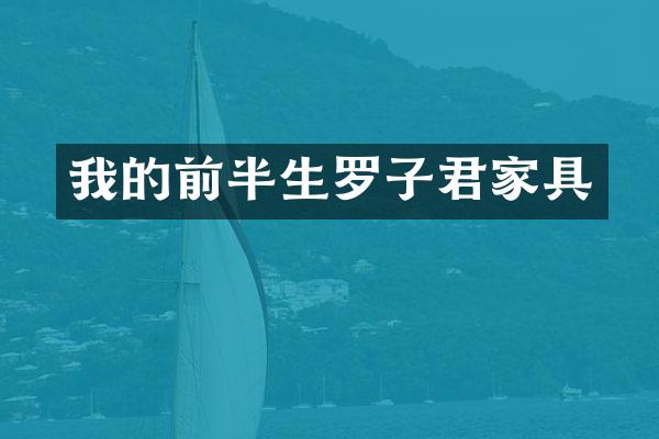 我的前半生罗子君家具