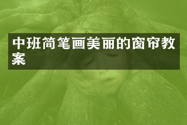 中班简笔画美丽的窗帘教案