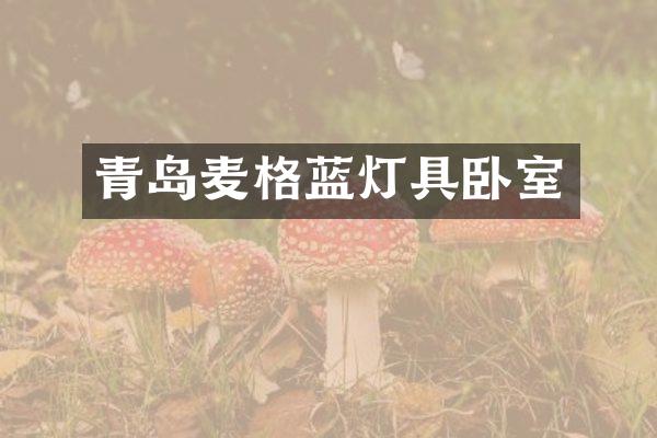 青岛麦格蓝灯具卧室