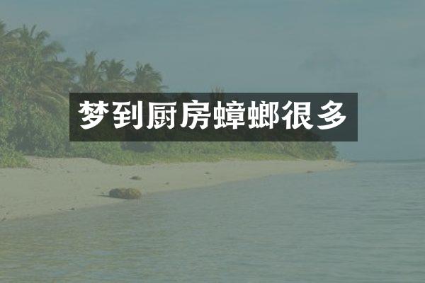 梦到厨房蟑螂很多