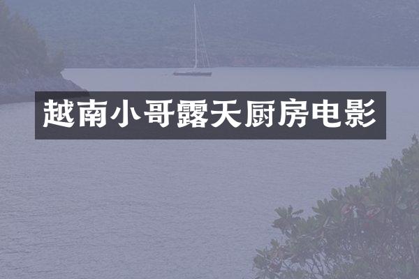 越南小哥露天厨房电影