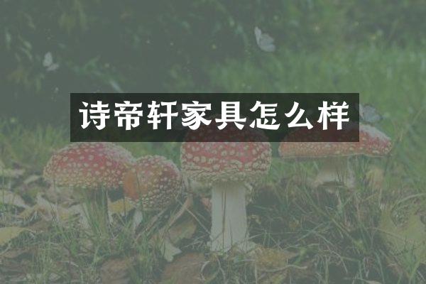 诗帝轩家具怎么样