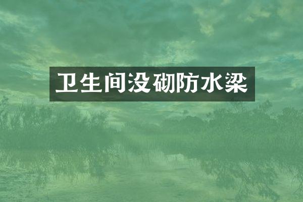 卫生间没砌防水梁