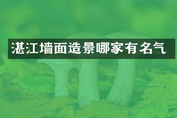 湛江墙面造景哪家有名气