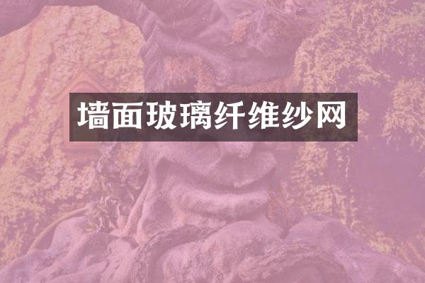 墙面玻璃纤维纱网