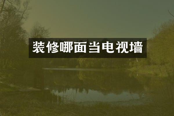 装修哪面当电视墙