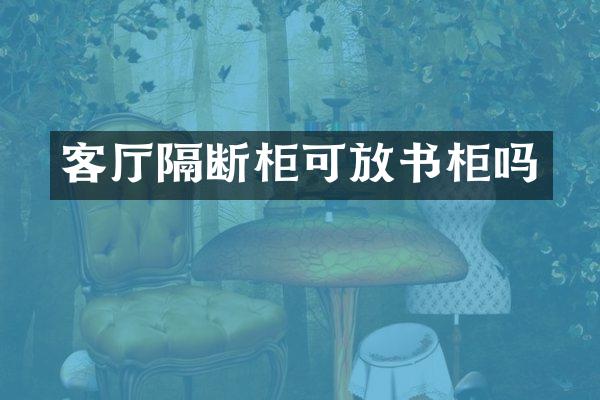 客厅隔断柜可放书柜吗