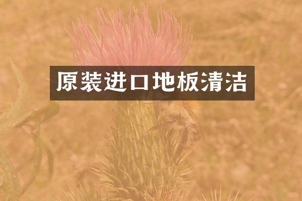 原装进口地板清洁