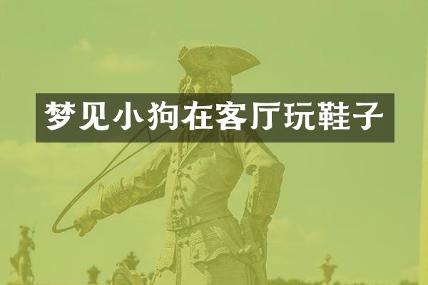 梦见小狗在客厅玩鞋子
