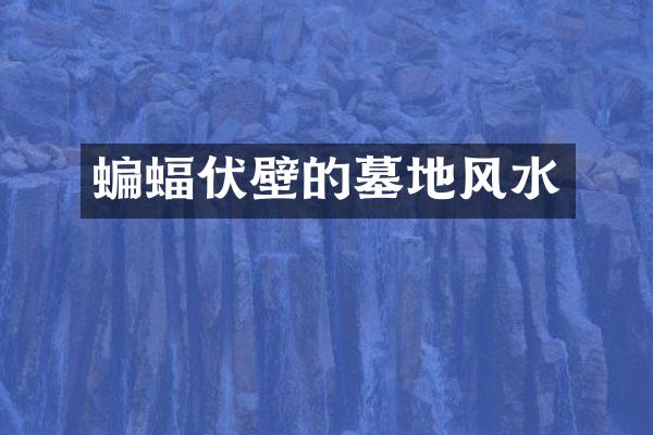 蝙蝠伏壁的墓地风水