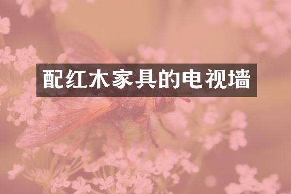 配红木家具的电视墙