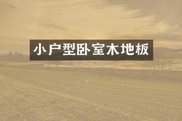 小户型卧室木地板