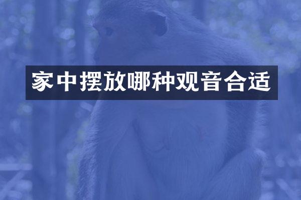 家中摆放哪种观音合适