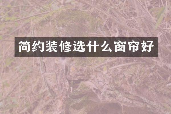 简约装修选什么窗帘好