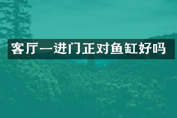 客厅一进门正对鱼缸好吗