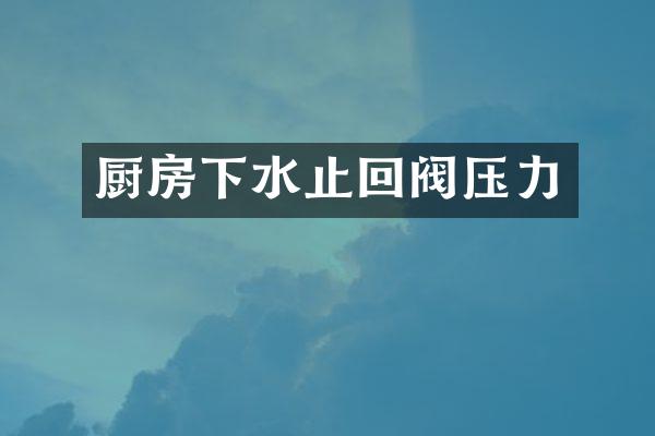 厨房下水止回阀压力