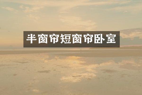 半窗帘短窗帘卧室
