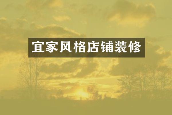 宜家风格店铺装修