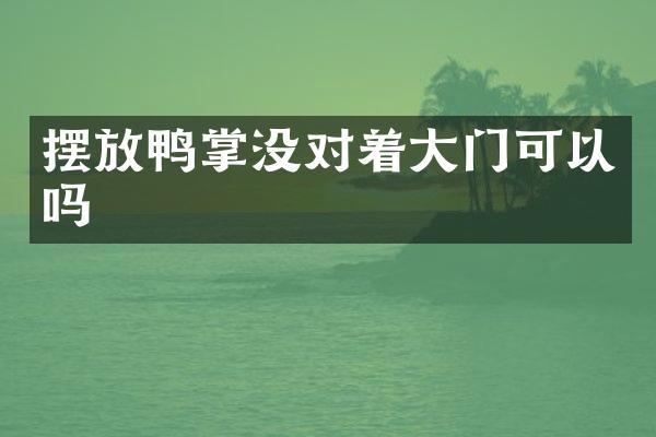 摆放鸭掌没对着大门可以吗