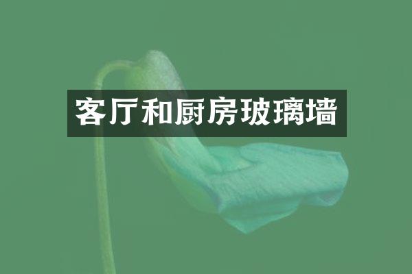 客厅和厨房玻璃墙