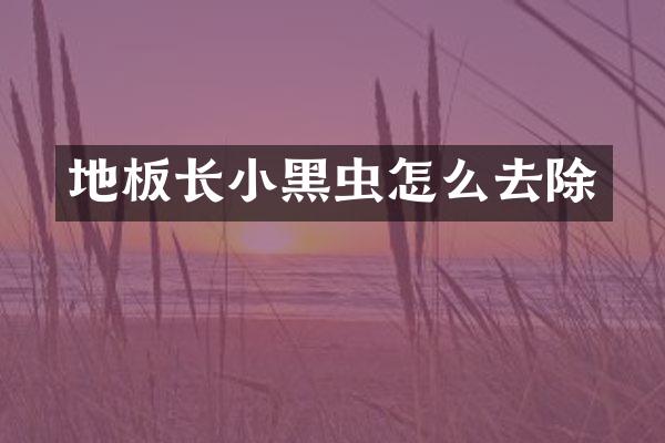 地板长小黑虫怎么去除