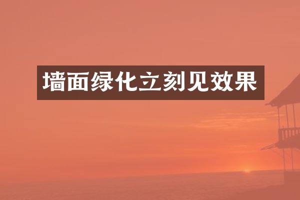 墙面绿化立刻见效果