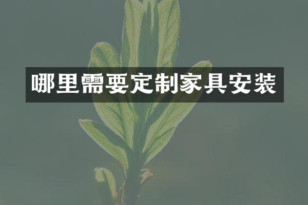哪里需要定制家具安装