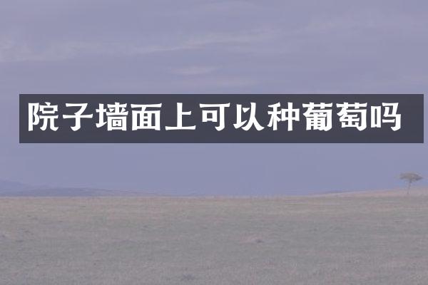 院子墙面上可以种葡萄吗